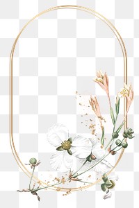 Flower png frame, transparent background