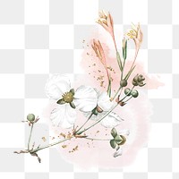 Flower png element, transparent background