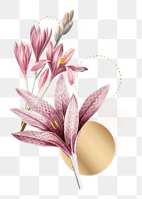 Flower png element, transparent background