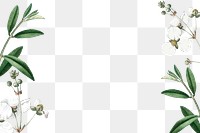 Flower png border, transparent background