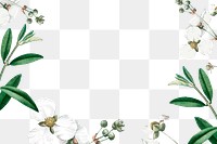 Flower png border, transparent background