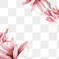 Flower png border, transparent background