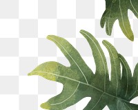 Leaf png border, transparent background