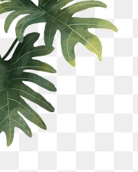 Leaf png border, transparent background