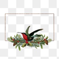 Png Christmas design frame, transparent background