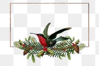 Bird png frame, transparent background