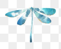 Watercolor dragonfly  png, transparent background