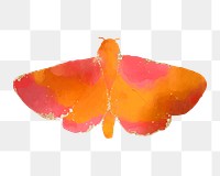 Watercolor moth png, transparent background