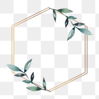 Hexagon png frame, transparent background