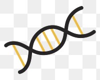  DNA double helix png illustration, transparent background