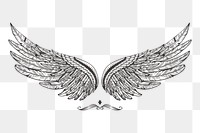 Wing png illustration, transparent background