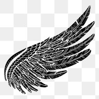 Wing png illustration, transparent background