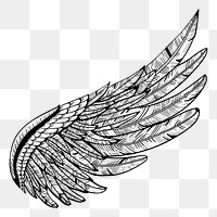 Wing png illustration, transparent background