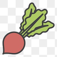 PNG radish illustration sticker, transparent background