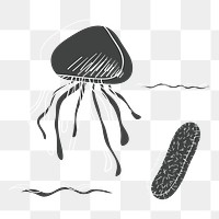 Jellyfish png illustration, transparent background