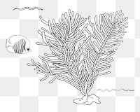 Coral reef png illustration, transparent background