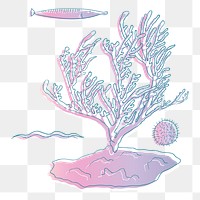 Coral reef png illustration, transparent background