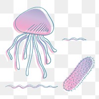 Jellyfish png illustration, transparent background