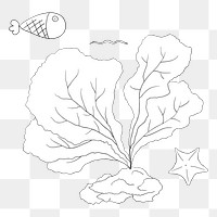 Coral reef png illustration, transparent background