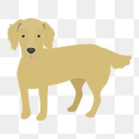 Png Golden retriever dog  sticker, transparent background