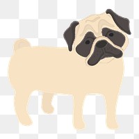 Png cute Pug dog  sticker, transparent background