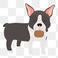 Png Boston Terrier dog  sticker, transparent background