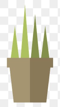 Cactus in a pot  png, transparent background