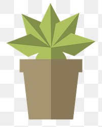 Spiky plant in a pot  png, transparent background