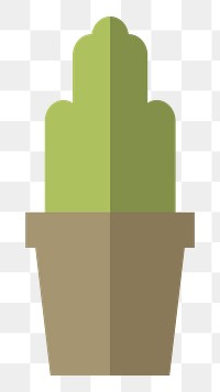 Cactus in a pot  png, transparent background