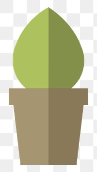 Cactus in a pot  png, transparent background