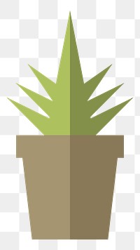 Cactus in a pot  png, transparent background