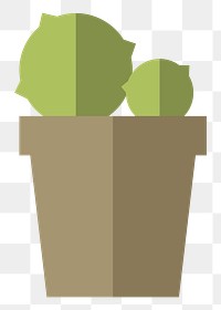 Cactus in a pot  png, transparent background