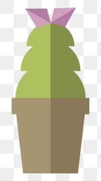 Cactus in a pot  png, transparent background