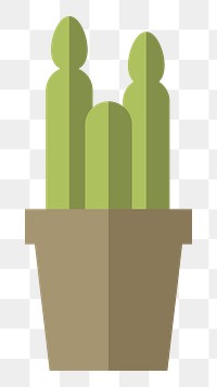 Cactus in a pot  png, transparent background