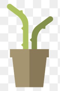 Cactus in a pot  png, transparent background