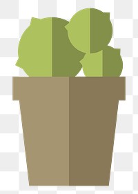 Cactus in a pot  png, transparent background