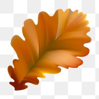 Autumn leaf png, transparent background