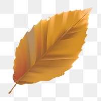 Autumn leaf png, transparent background