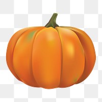 Autumn pumpkin png, transparent background