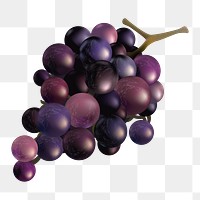 Grapes png, transparent background