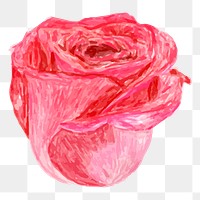 Rose flower png, transparent background