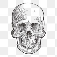 Png Halloween skull illustration element, transparent background