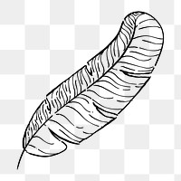 Png banana leaf  doodle illustration, transparent background