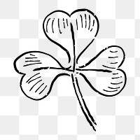 Png clover leaf  doodle illustration, transparent background