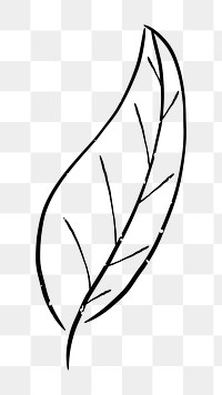 Png simple leaf doodle illustration, transparent background