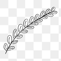 Png leaf branch  doodle illustration, transparent background