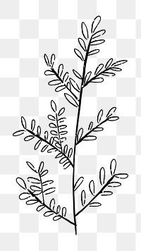 Png leaf branch  doodle illustration, transparent background