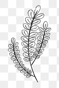 Png leaf branch  doodle illustration, transparent background