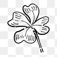 Png clover leaf  doodle illustration, transparent background