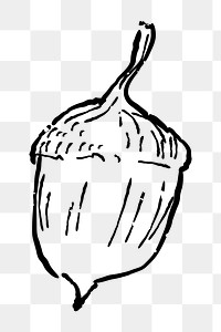 Png acorn  doodle illustration, transparent background